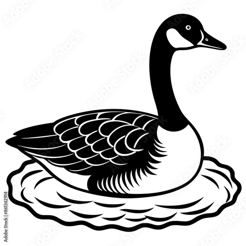 duck isolated on white background