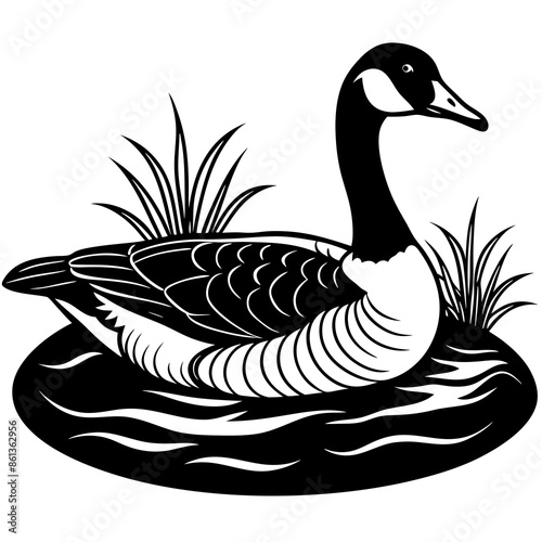 duck with reflection