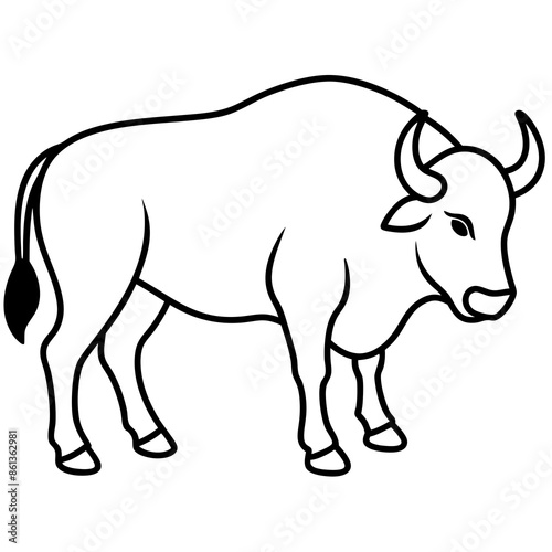 rhino isolated on white background