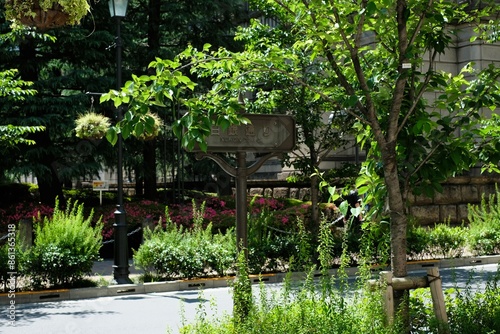 Nichigin street with green , Nihonbashi, Tokyo, Japan photo