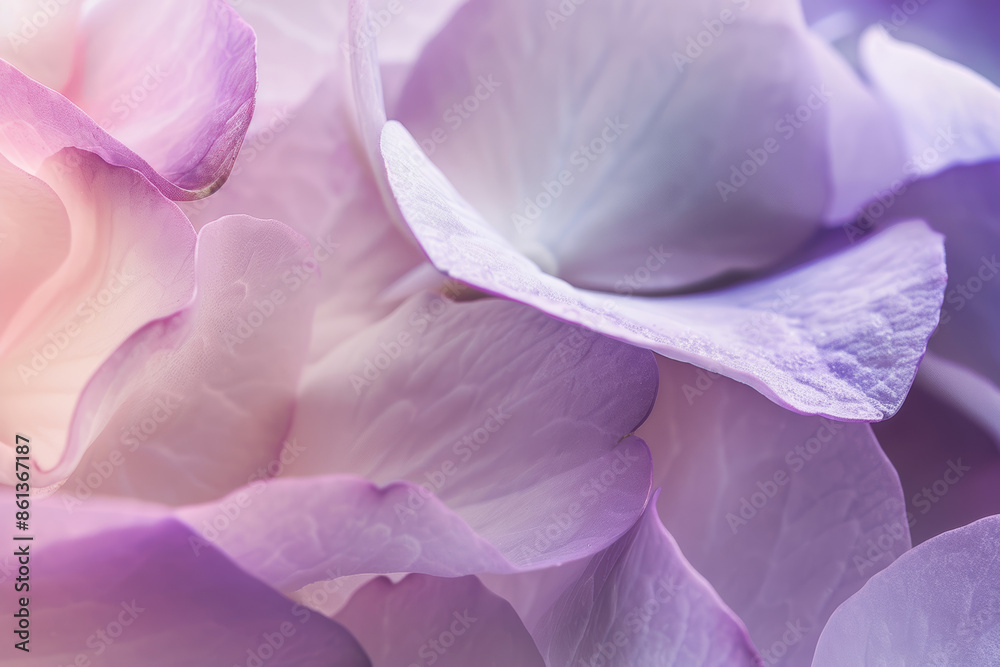 Close Up of Delicate Purple Petals in Soft Pastel Tones Close Up of Delicate Purple Petals in Soft Pastel Tones