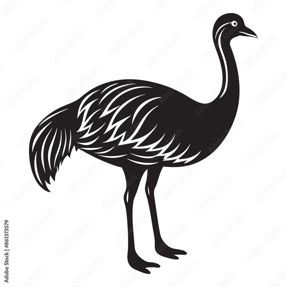 Fototapeta premium emu on isolated white background vector silhouette 