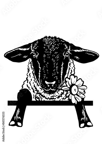 Sheep SVG, Fun Sheep SVG, Peeking Animals SVG, Farm Animals SVG, Cute Sheep, Pig SVG, Sheep Silhouette, Sheep Vector, Clipart, Cut file for Cricut SVG, JPG, PNG