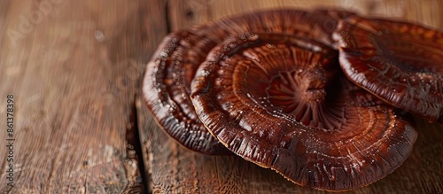 Detailed close-up view of Ling zhi mushroom, Ganoderma lucidum, displayed on a wooden surface, providing ample copy space image. photo