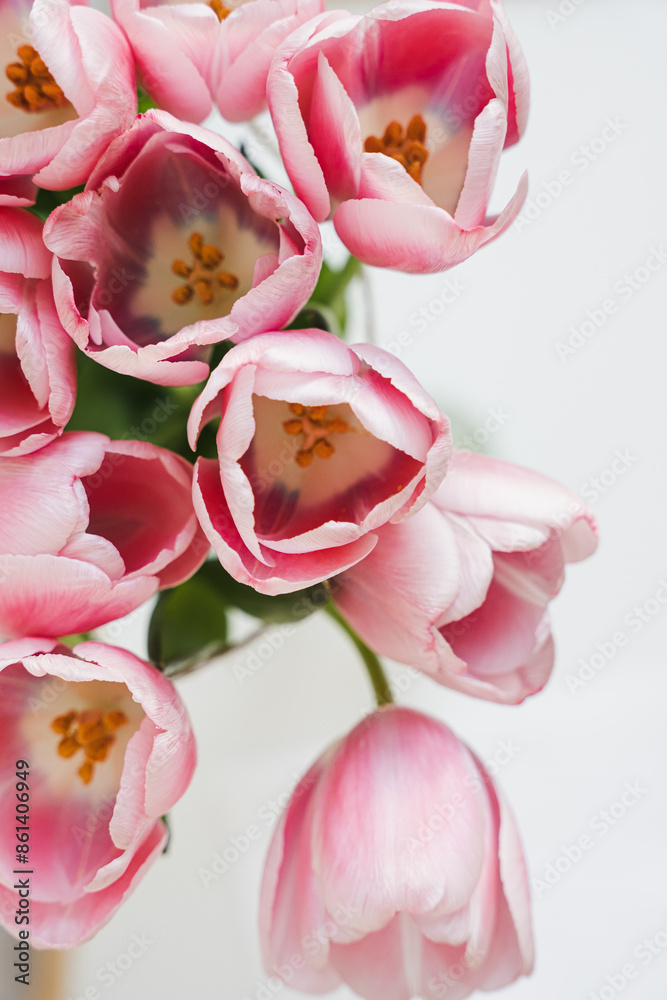 Pastel pink tulip flowers bouquet. Minimal creative floral concept Pastel pink tulip flowers bouquet. Minimal creative floral concept