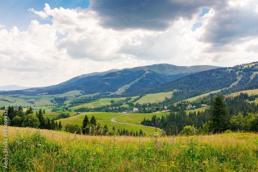 Fototapeta premium mountainous countryside landscape in summer. trees near the grassy meadow. rural scenery of podobovets valley. sustainable living in transcarpathia, ukraine. wide open vista