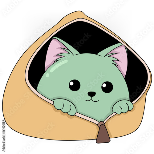 Adorable Kitten Peeking from Wallet