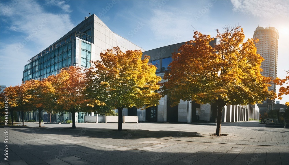 Maple Trees: Icons of Beauty, Resilience, and Urban Cultivation Maple Trees: Icons of Beauty, Resilience, and Urban Cultivation