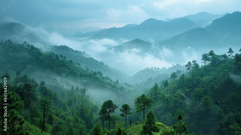 Fototapeta premium Misty Mountain Landscape with Green Foliage