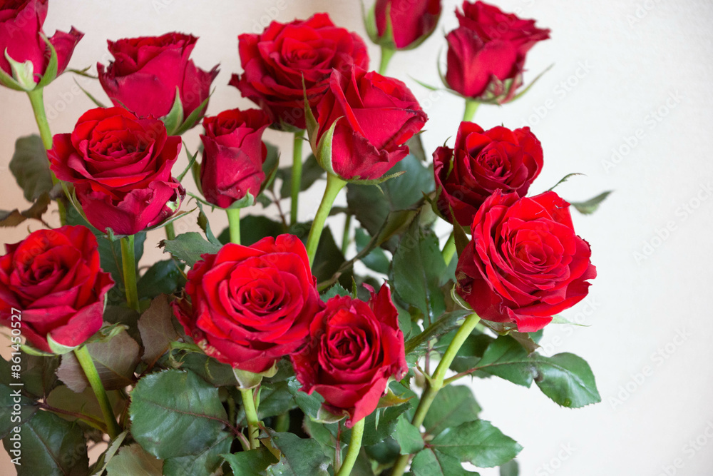 赤い薔薇