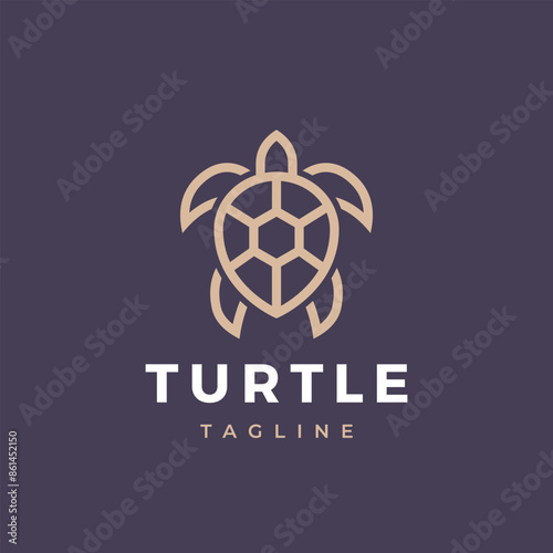 Turtle logo design. Modern icon. Sea turtle illustration.
