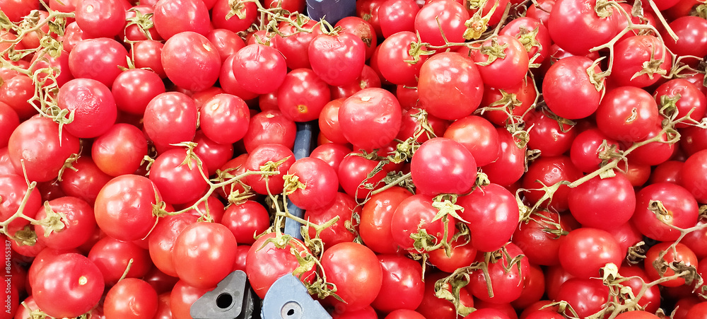 cluster tomatoes, greenhouse tomatoes, red tomatoes, chery tomatoes cluster tomatoes, greenhouse tomatoes, red tomatoes, chery tomatoes