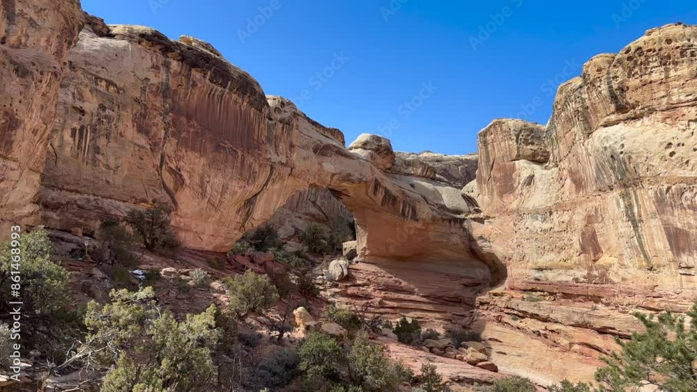 Wide view of the Hickman Bridge area on a sunny, blue-sky day at Capitol Reef National Park in Utah. The natural stone bridge is a popular hiking destination within the park - USA Wide view of the Hickman Bridge area on a sunny, blue-sky day at Capitol Reef National Park in Utah. The natural stone bridge is a popular hiking destination within the park - USA