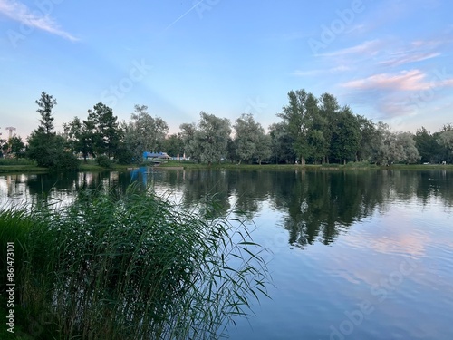 Sky and trees reflection on the calm surface of the lake, summer lake in the park, green trees, blue sky with tender clouds