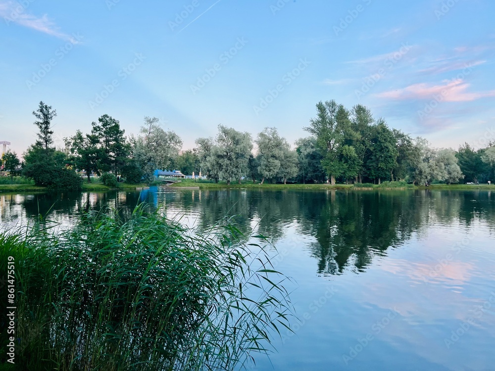 Obraz premium Sky and trees reflection on the calm surface of the lake, summer lake in the park, green trees, blue sky with tender clouds