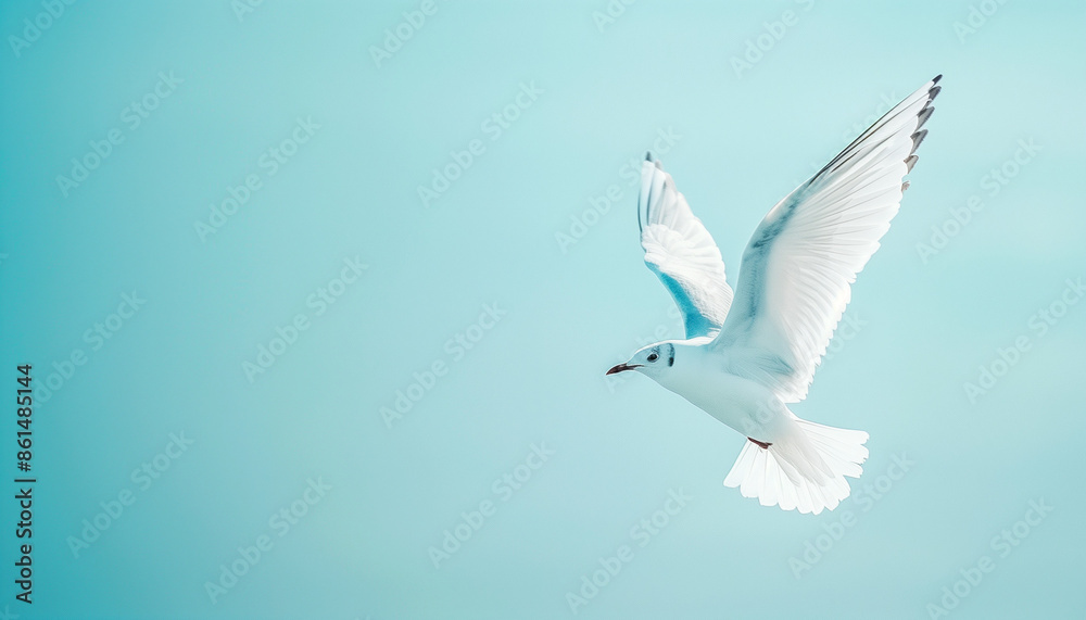 Seagull soaring gracefully against a blue sky, exuding freedom and elegance, capturing the essence of flight and the serene beauty of a clear day Seagull soaring gracefully against a blue sky, exuding freedom and elegance, capturing the essence of flight and the serene beauty of a clear day