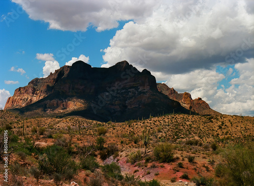 Central Sonora Desert Arizona © Paul Moore