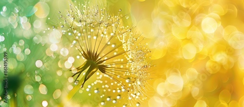A close-up of a dandelion seed ball with dewdrops, set against a yellow and green background, leaving room for a copy space image. photo