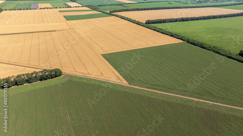 Aerial view of fields with various types of agriculture.