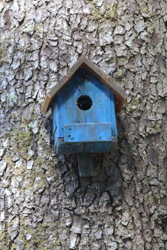 Colorful wooden birdhouses