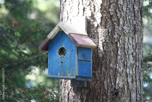 Colorful wooden birdhouses