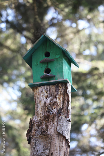 Colorful wooden birdhouses