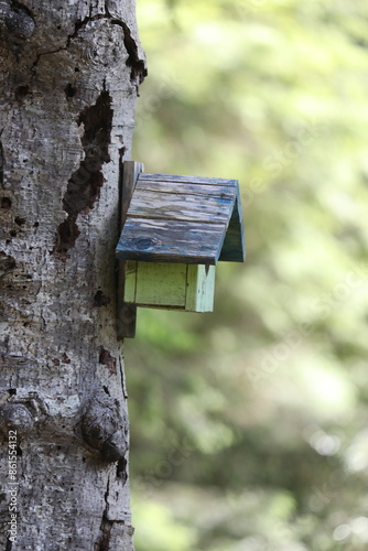 Colorful wooden birdhouses