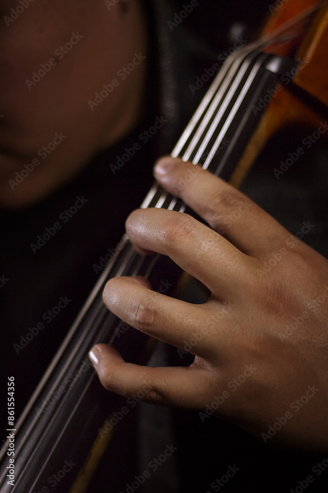 Cellist Cellist
