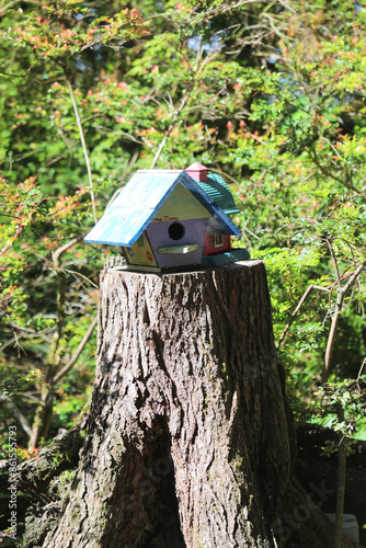 Colorful wooden birdhouses