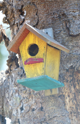 Colorful wooden birdhouses