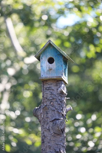 Colorful wooden birdhouses