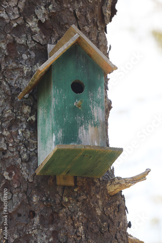 Colorful wooden birdhouses