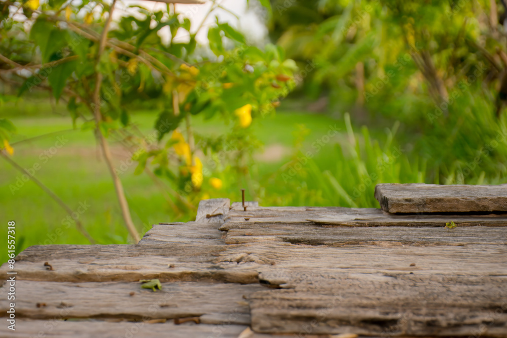 custom made wallpaper toronto digitalClose-up photo of wooden tabletop Blurred green rice field view