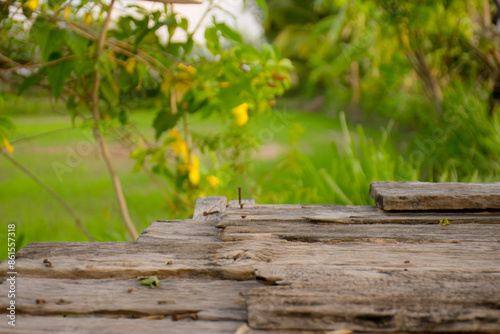 Wallpaper Mural Close-up photo of wooden tabletop Blurred green rice field view Torontodigital.ca