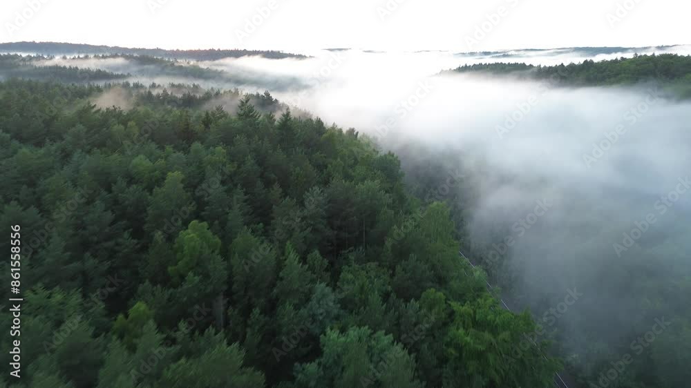 Above the clouds,. Foggy, misty morning over a mountain forest, captured by a drone's FPV shot. Above the clouds,. Foggy, misty morning over a mountain forest, captured by a drone's FPV shot.
