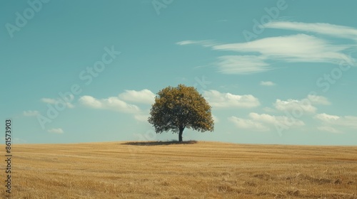 Lone tree standing tall amidst an expansive field, capturing the essence of solitude and natural beauty.