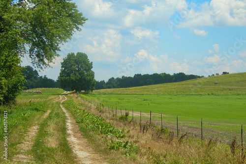 Fototapeta Naklejka Na Ścianę i Meble -  Summer landscape view of the Katy Trail, passing between a forest and hilly, green fenced field beneath a partly cloudy blue sky, near Boonville, Missouri.