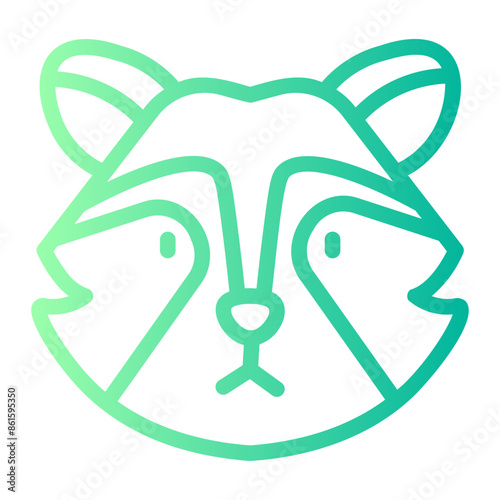 racoon