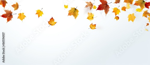 White background with falli...