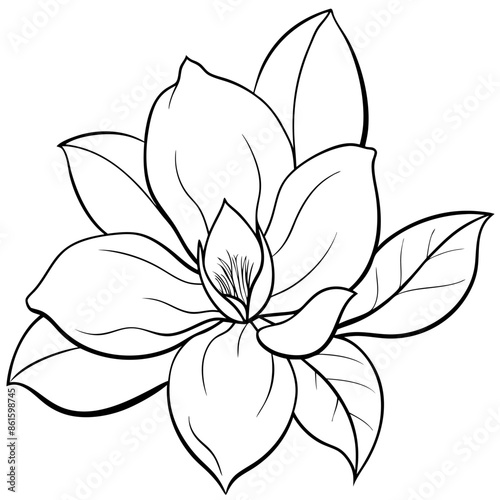 Plants with flower coloring pages. Flower outline