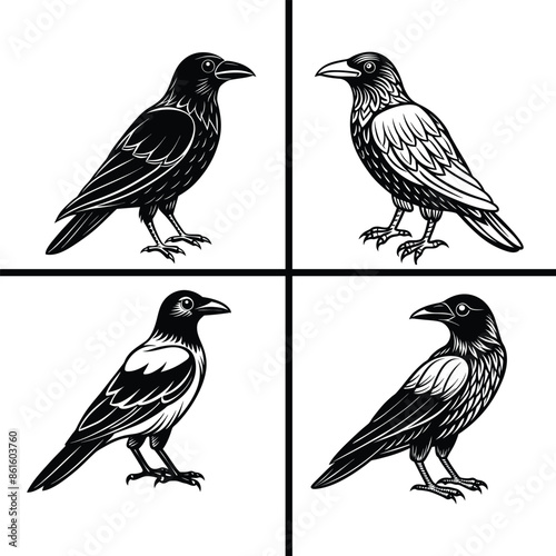 Black Crow Silhouette Art - Vector Illustration Bundle Set Design for Unique and Bold Graphics photo