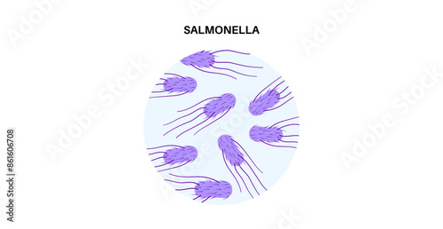 .Salmonella Typhimurium Cells