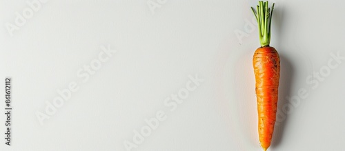 Carrot with copy space imag...