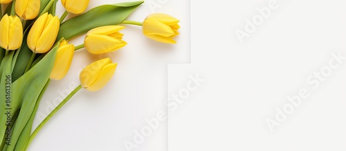 White background featuring ...