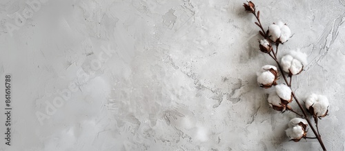 Overhead view of a cotton f...