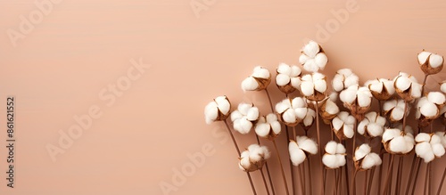 Wooden cotton bud arrangeme...