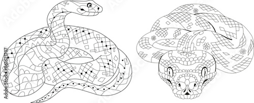 Zentangle snakes for coloring pages. Hand drawn decorative vector illustration.