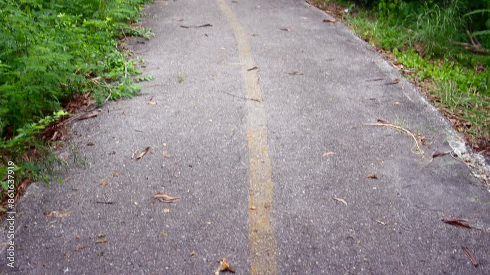 Left turn for bicycle in a forest road Left turn for bicycle in a forest road