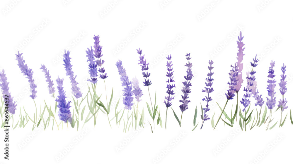 Naklejka premium PNG