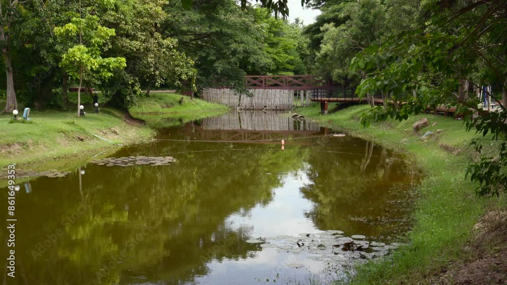 Calm river and a bamboo barrage Calm river and a bamboo barrage